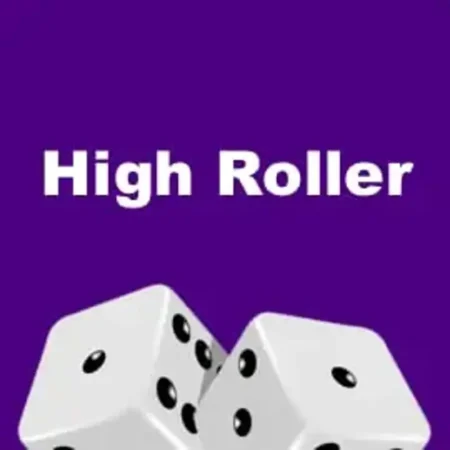Best High Roller Casinos in Canada 2024